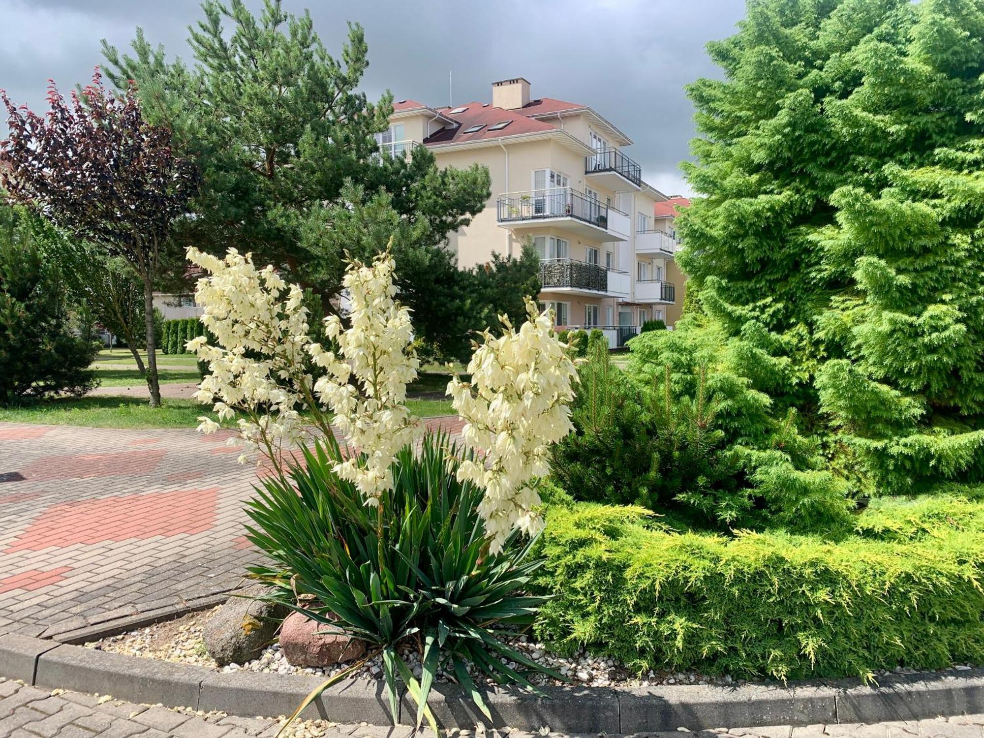 Baltic Apartament Studio Z Ogrodkiem Grzybowo Kolobrzeg Екстериор снимка