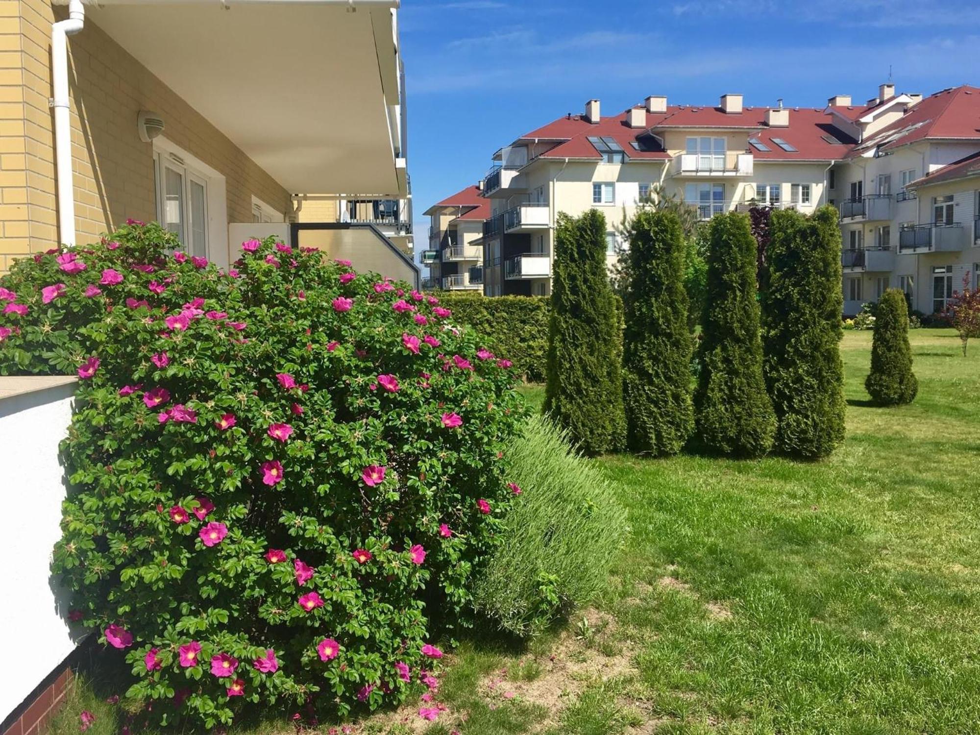 Baltic Apartament Studio Z Ogrodkiem Grzybowo Kolobrzeg Екстериор снимка
